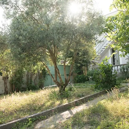 Maison De Maitre Des Annees 30 Classee 4 Etoiles * Carcasona